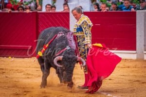 Maestro del toreo lidiando entre el polvo del albero con traje azul y oro. El maestro - poder en la arena