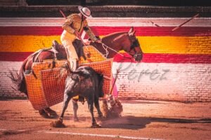 Picador aguantando la embestida del toro con la vara rota. Fotografía artística Javier Pérez.