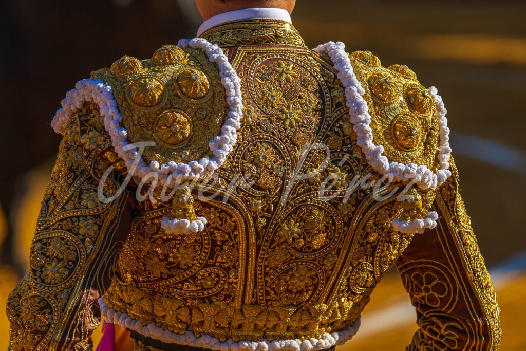 Detalle de la espalda de un traje de luces bordado en oro macizo. Fotografía artística texturas. La maestría - Espalda en oro