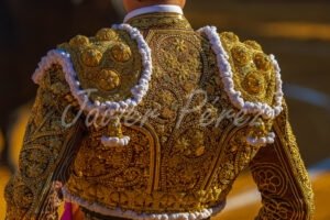 Detalle de la espalda de un traje de luces bordado en oro macizo. Fotografía artística texturas. La maestría - Espalda en oro