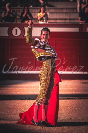 Alejandro Talavante mostrando una oreja en señal de triunfo. Traje de luces tabaco y oro.