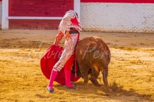 Torero ejecutando un pase natural perfecto con la mano izquierda baja. Fotografía artística taurina.