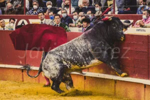 El límite de las tablas - Derrote de toro burraco